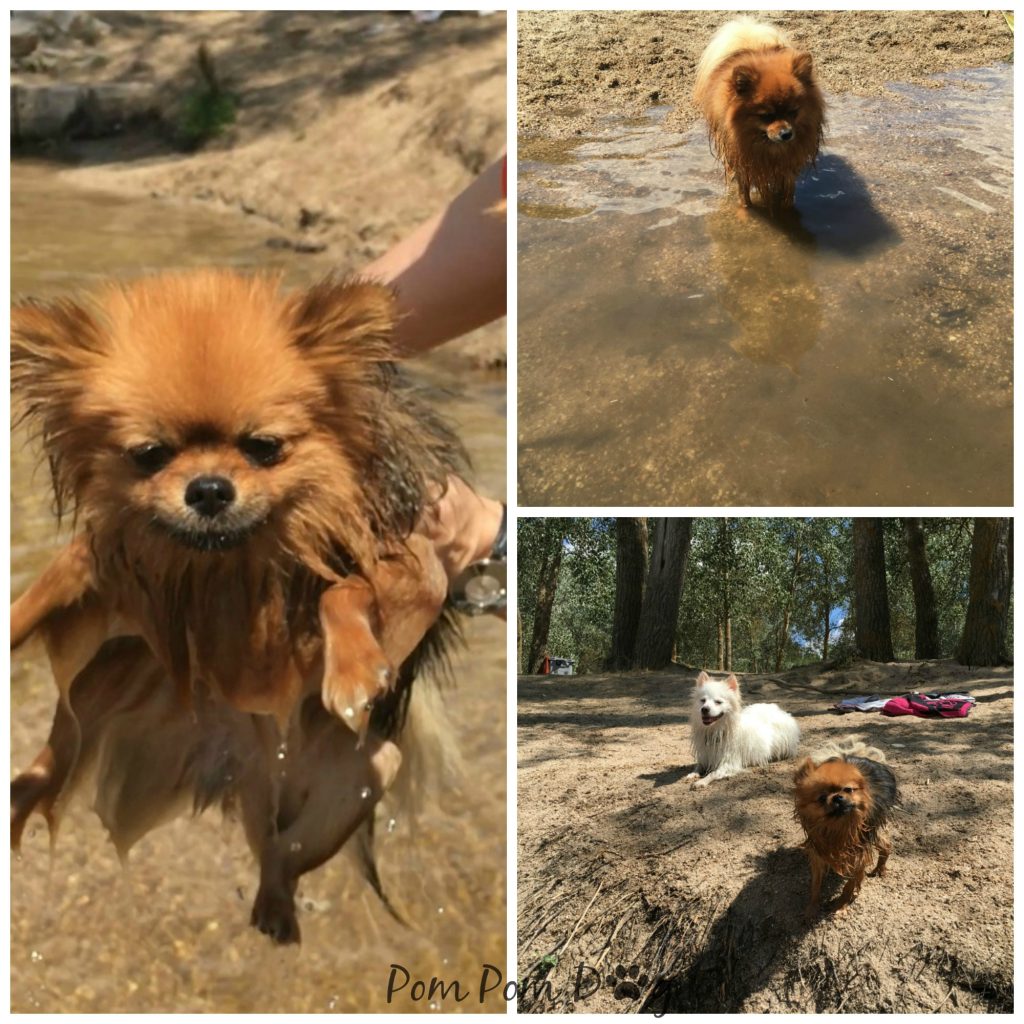 Collage_River_Meeting_July16